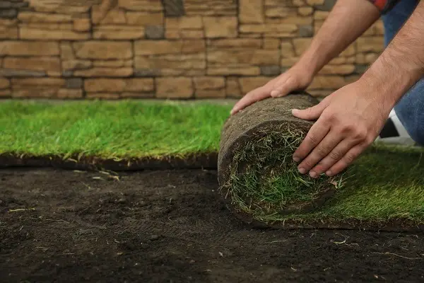 Grass Installation